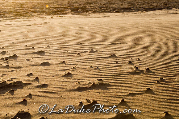 Blown Sand at Sunset