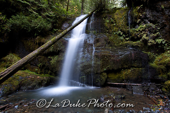 Lower Parker Falls