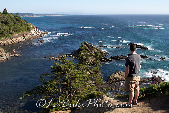 Cape Arago