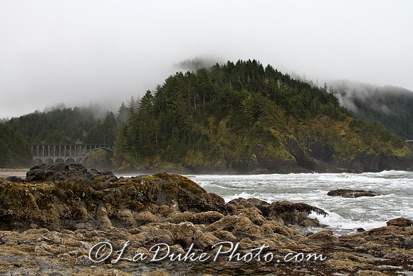 Heceta Head