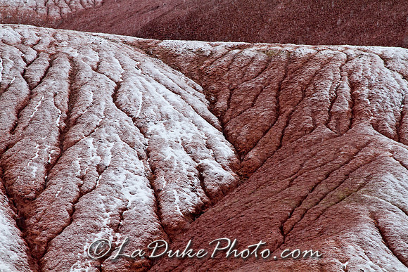 Painted Hills - OR