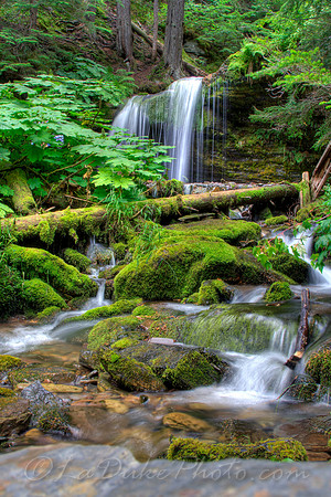 Fern Falls, ID