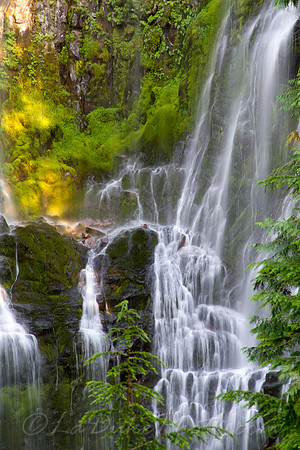 Proxy Falls, OR