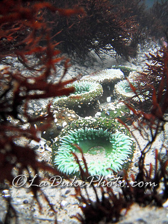 Underwater