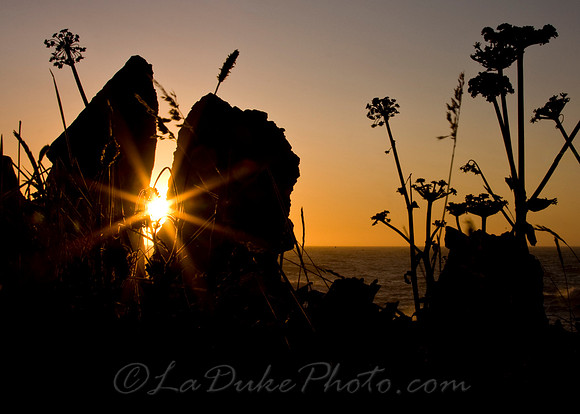 California Coast
