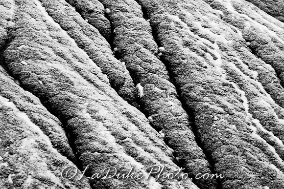 White-Washed Hills