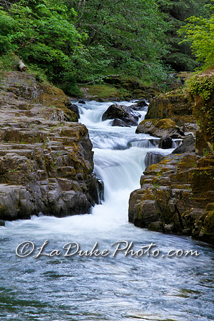 Cedar Creek