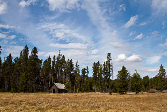 Cabin - Central, ID