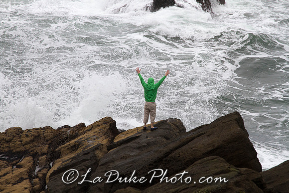 Heceta Head