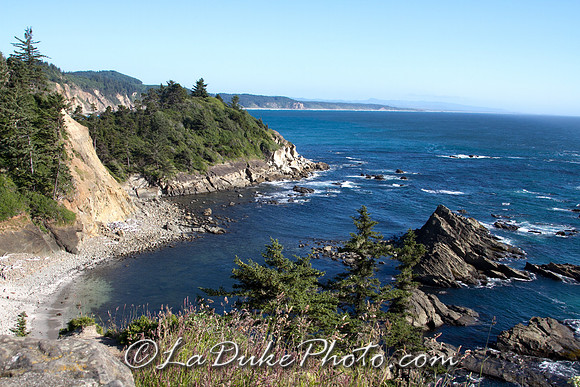Cape Arago