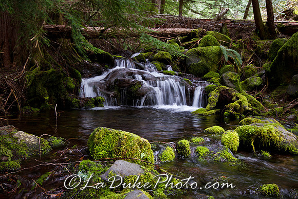 N. Umpqua Trail