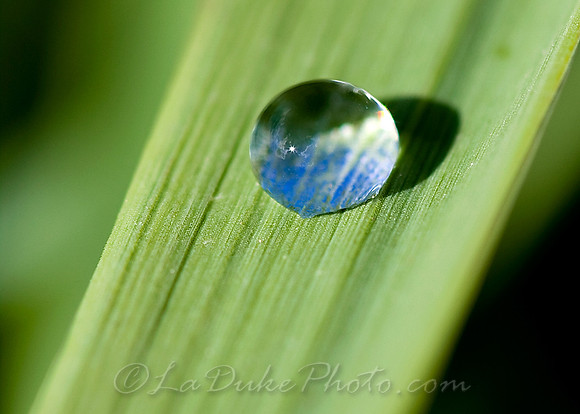 Water Droplet, St. Joe River