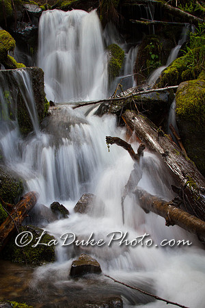 Fern Falls (Oregon)