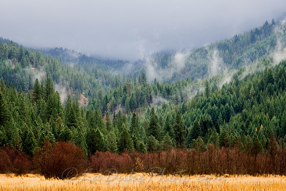 Misty Mountain