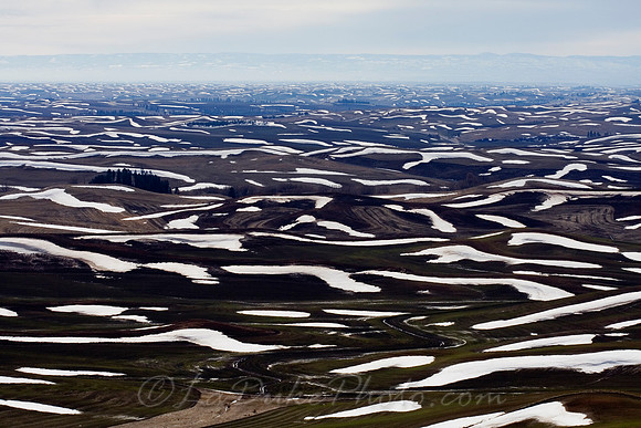 Palouse from Steptoe Butte