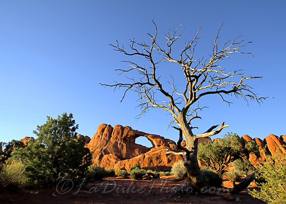 Skyline Arch, Moab, UT