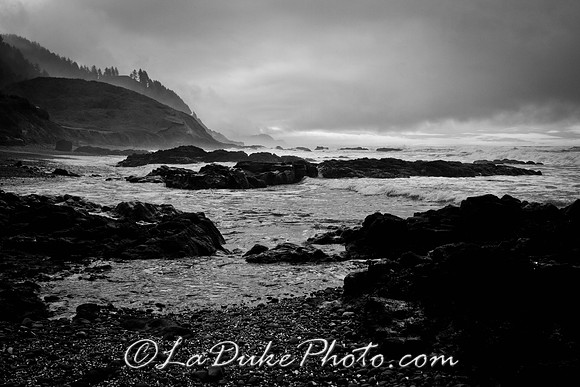 Heceta Head