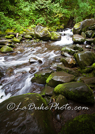 Above Multanomah Falls