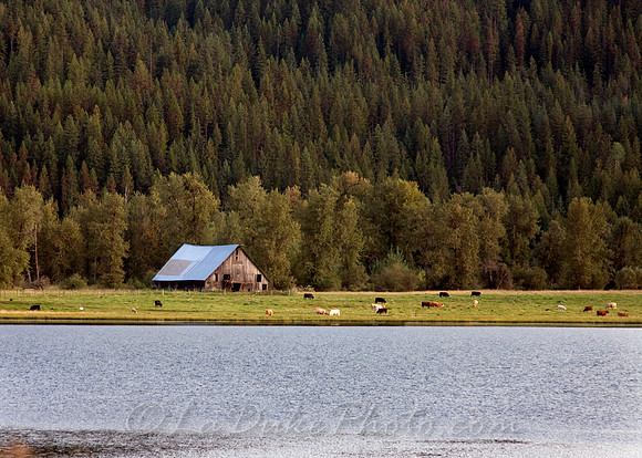Barn on the St. Joe, September 2009