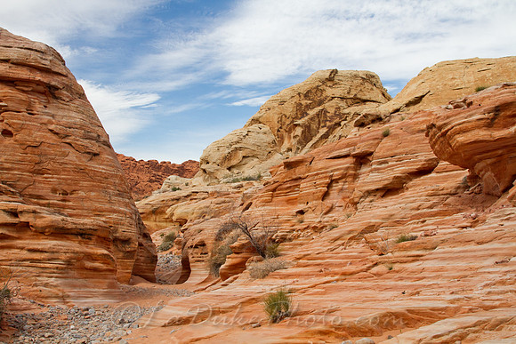 Valley of Fire, NV