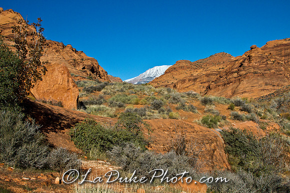 Red Cliffs