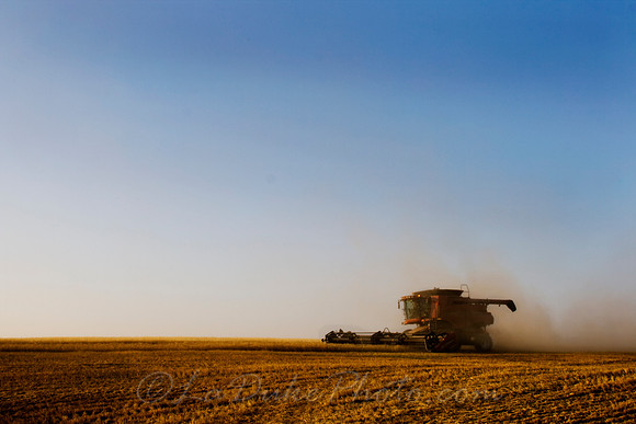 Palouse Harvest August 2009